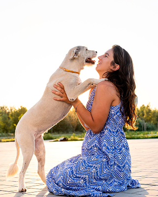 Image gallery marquee